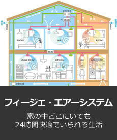 フィージェ・エアーシステム