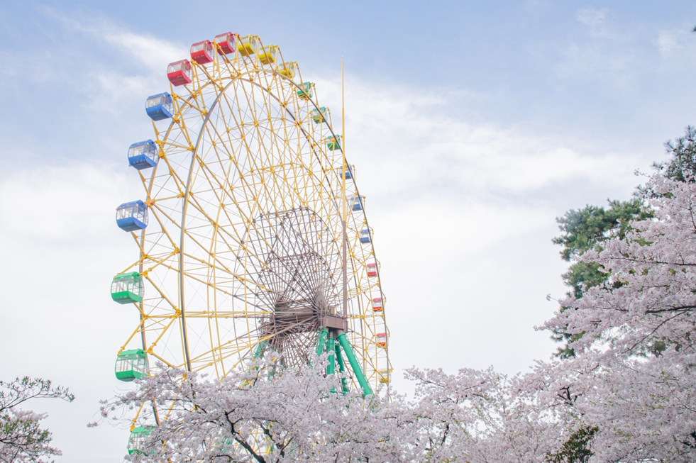 華蔵寺公園